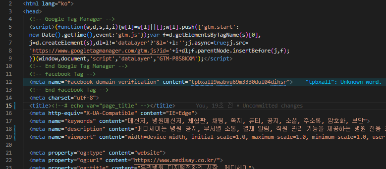 head 메타 영역